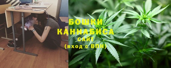 шишки Баксан
