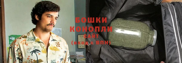 мдпв Козельск