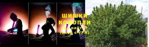 шишки Баксан