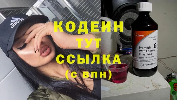 дурь Карпинск