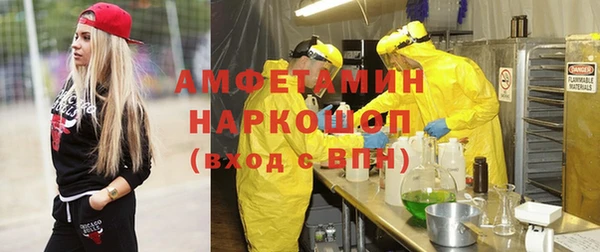 шишки Баксан