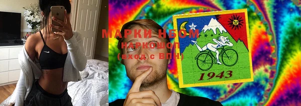 шишки Баксан