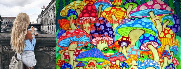 шишки Баксан
