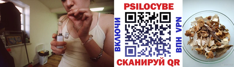 Галлюциногенные грибы GOLDEN TEACHER дарнет шоп Рудня